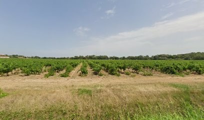 Lyonnaise Des Eaux France, Compagnie des Eaux à Blomac