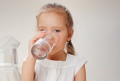 Syndicat des Eaux et de l'Assainissement Alsace-Moselle (SDEA), Compagnie des Eaux à Seltz